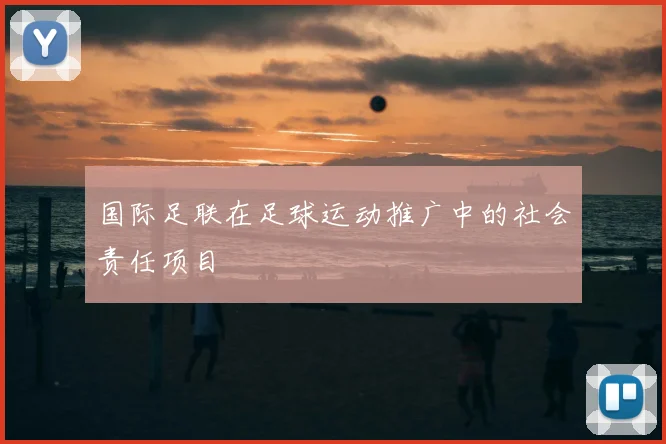 国际足联在足球运动推广中的社会责任项目