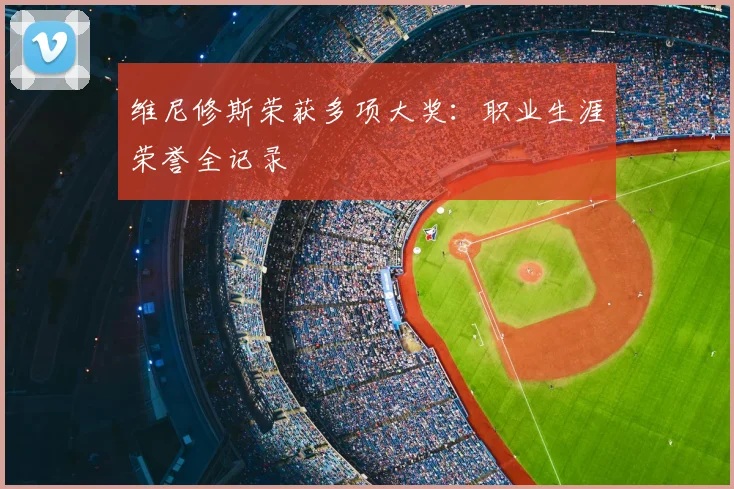 维尼修斯荣获多项大奖：职业生涯荣誉全记录