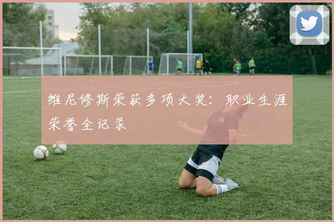维尼修斯荣获多项大奖:职业生涯荣誉全记录